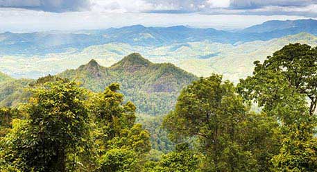 Forests & Reserves Forests & Reserves