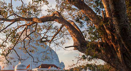 Anuradhapura Anuradhapura