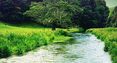 Rivers Rivers